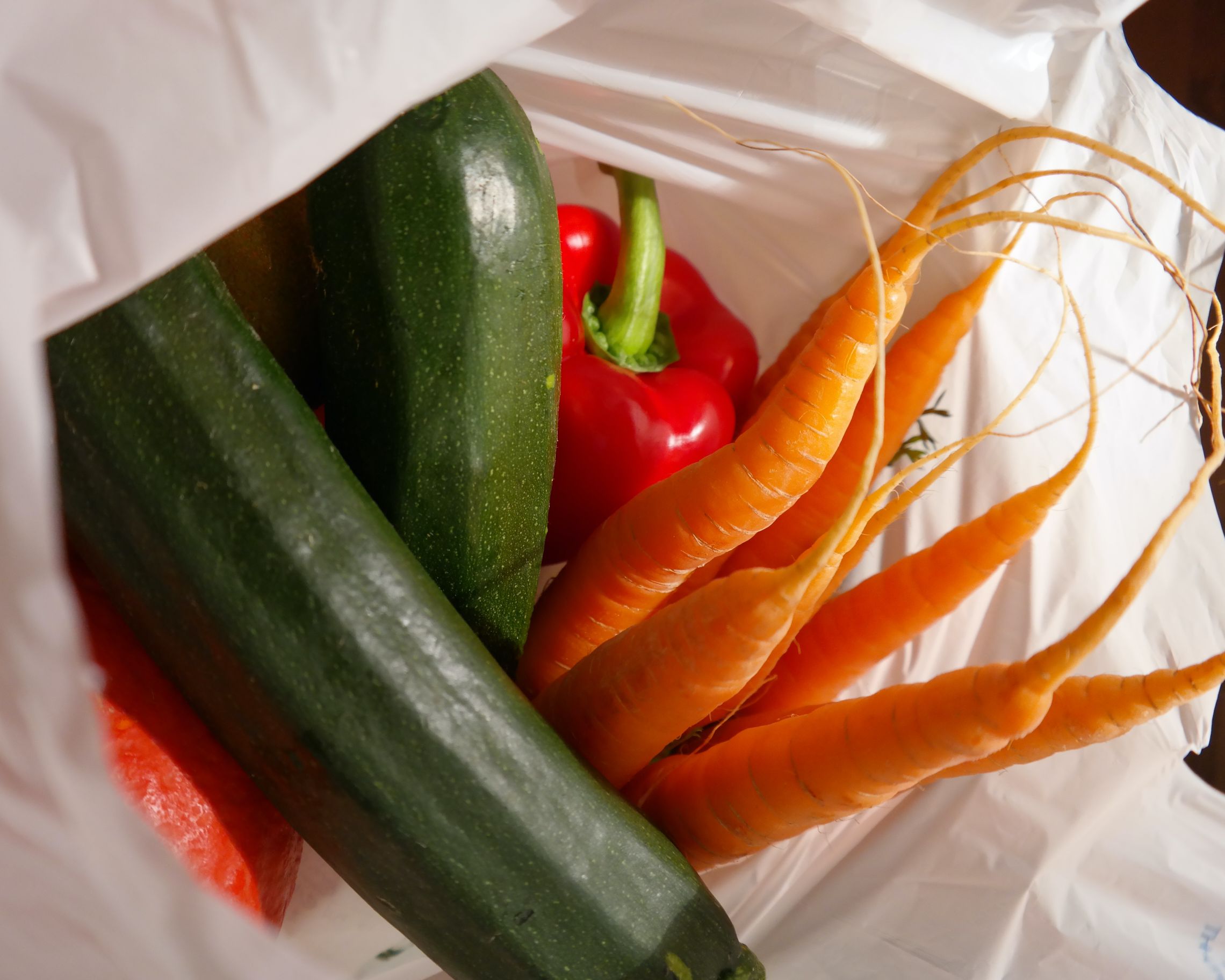 Shopping Bags